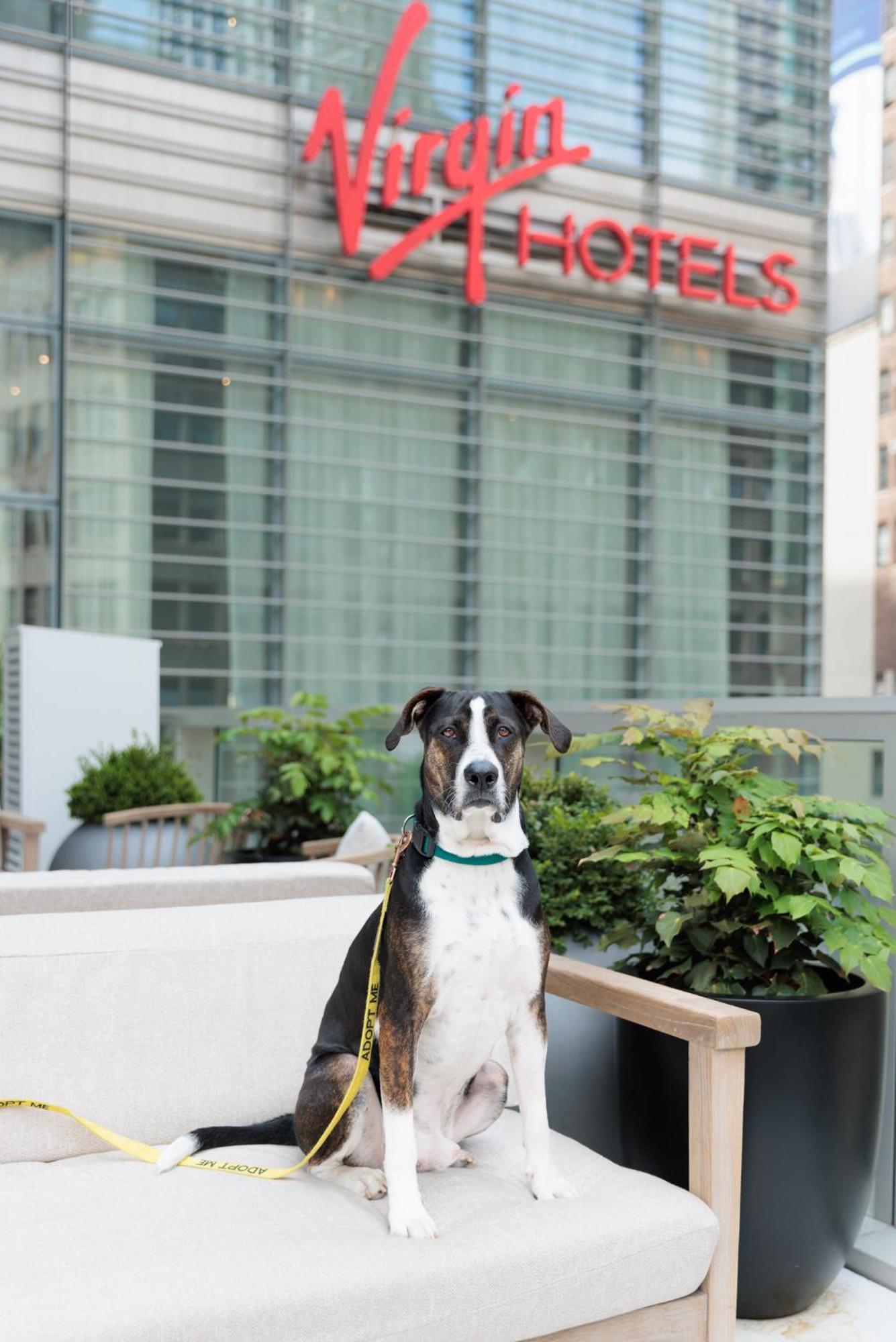 Virgin Hotels New York City Eksteriør bilde
